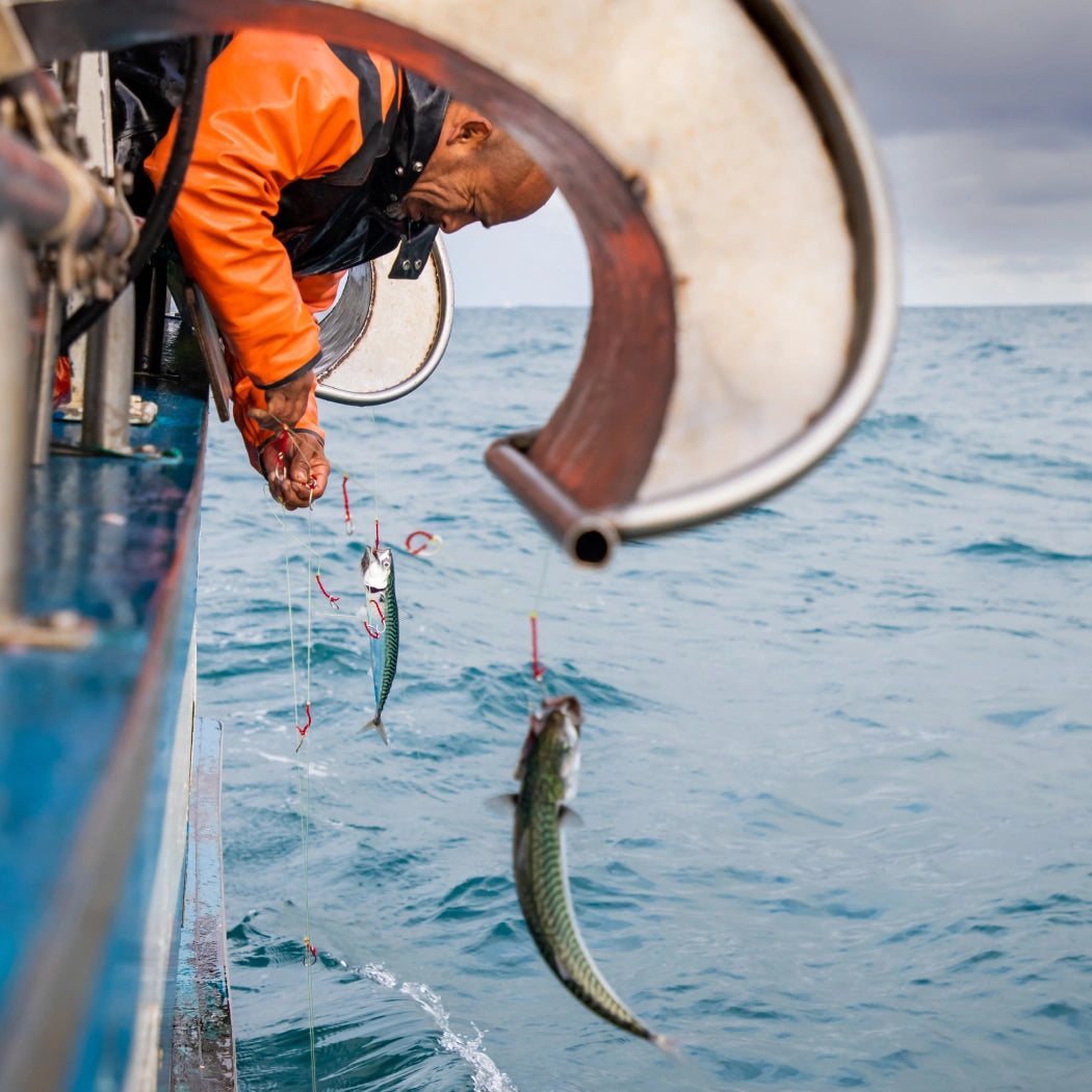 Patagonia Provisions Lemon Caper Mackerel